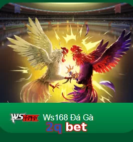 2q bet